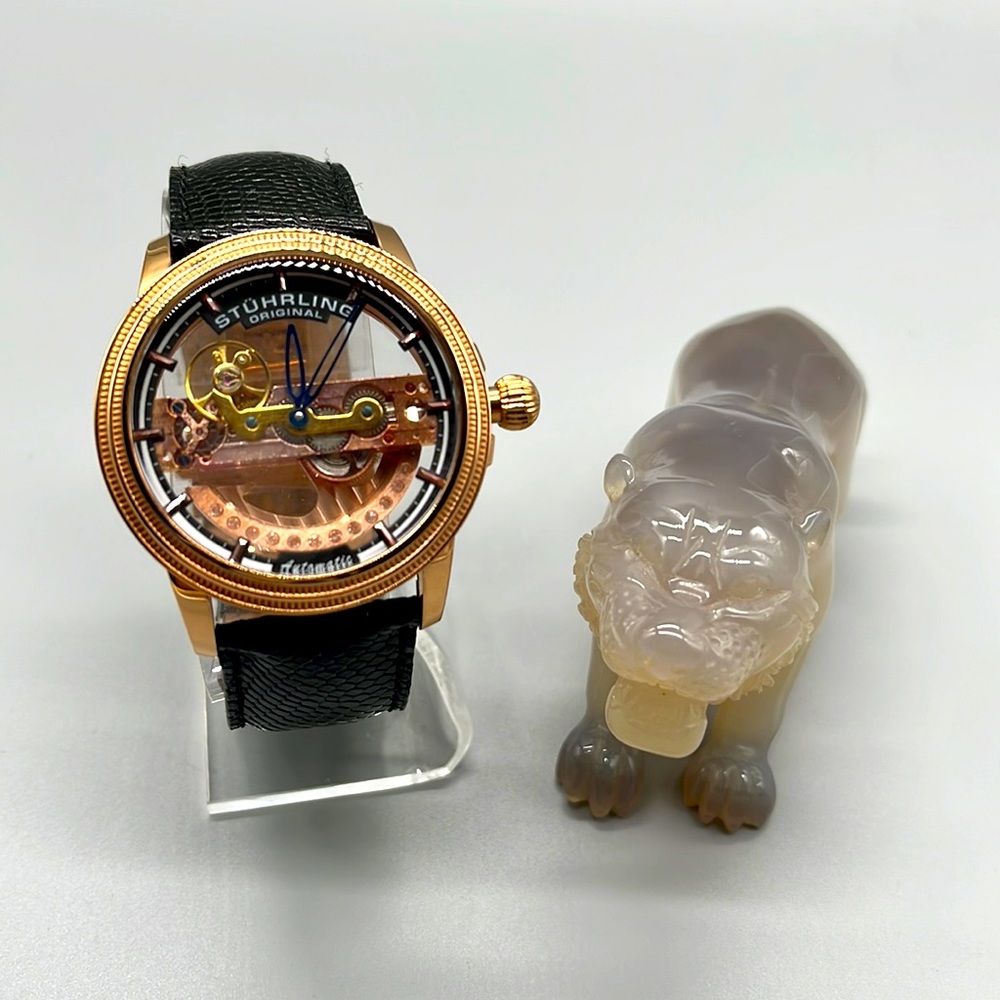 Stuhrling Limited Edition Automatic Watch-Men’s